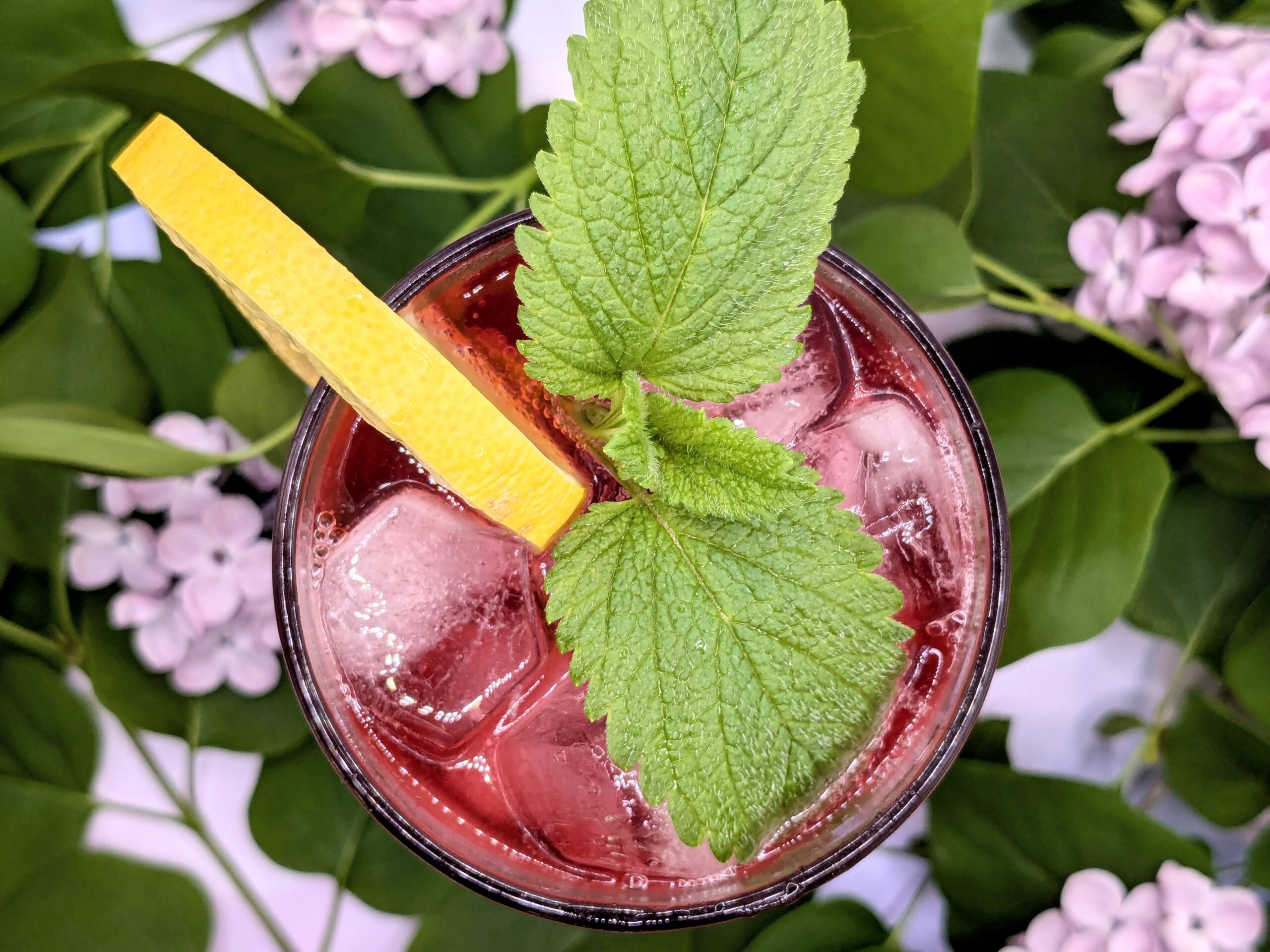 Controlled Entropy's Spring Spritz Cocktail featuring Lemongrass Hibiscus Liqueur